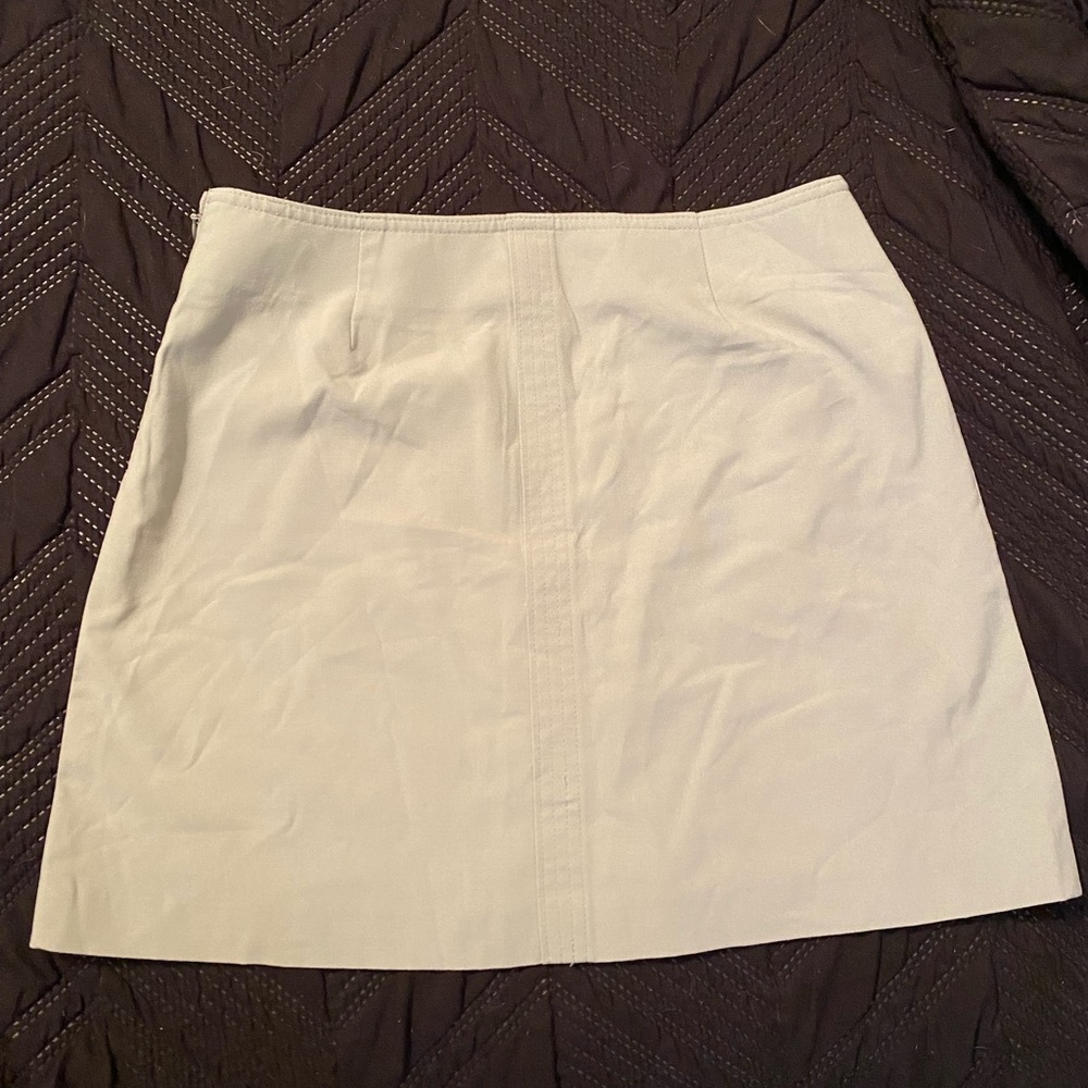 The Limited Mini Skirt